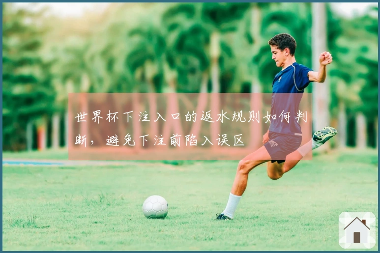 世界杯下注入口的返水规则如何判断，避免下注前陷入误区