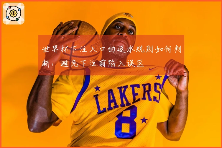 世界杯下注入口的返水规则如何判断，避免下注前陷入误区